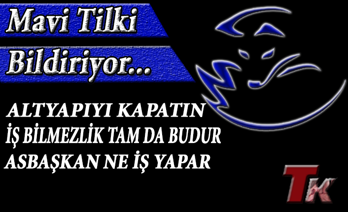 MAVİ TİLKİ "İŞ BİLMEZLİK TAM DA BUDUR, ALTYAPIYI KAPATIN, ASBAŞKAN NE İŞ YAPAR"