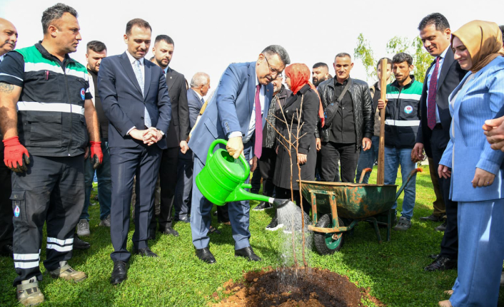 YEŞİLİ ARTIRMA GAYRETİNDEYİZ