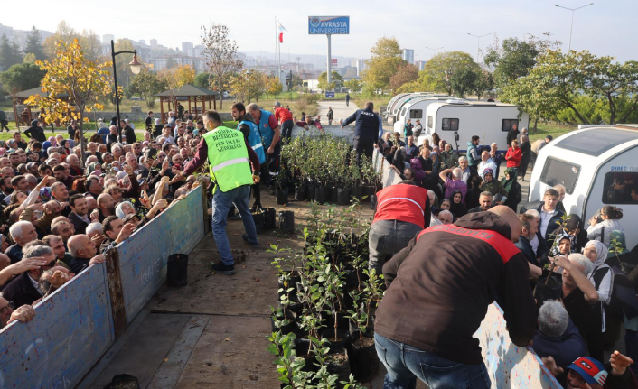 5  BİN YOMRA ELMASI FİDANI İLE 4 BİN YÖRESEL ARMUT FİDANI DAĞITTILDI