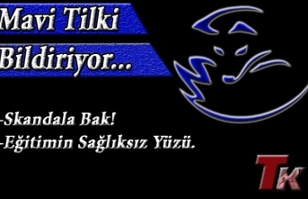 MAVİ TİLKİ "SKANDAL'A BAK! EĞİTİMİN SAĞLIKSIZ YÜZÜ"
