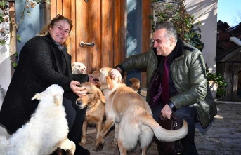 ORTAHİSAR BELEDİYESİ, 112 SOKAK HAYVANINI DOĞRUDAN SAHİPLENDİRDİ