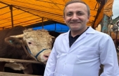 PAZARA KAÇAK HAYVANLAR GİREMEZ