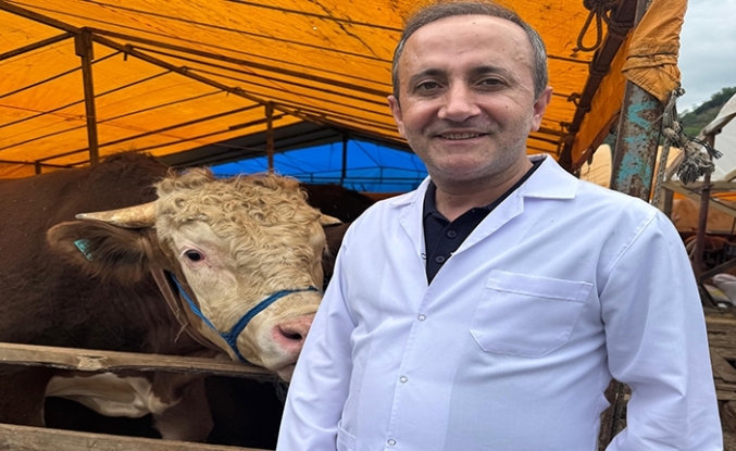 PAZARA KAÇAK HAYVANLAR GİREMEZ