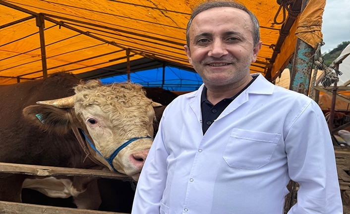 PAZARA KAÇAK HAYVANLAR GİREMEZ